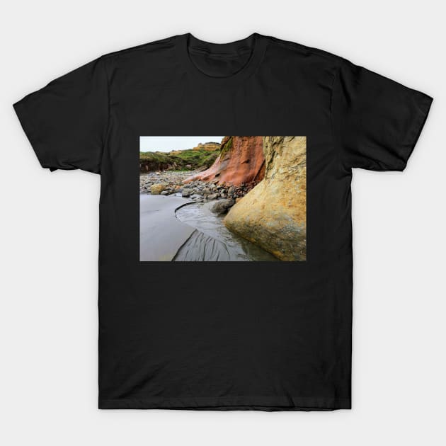 Oregon Coast T-Shirt by CAutumnTrapp